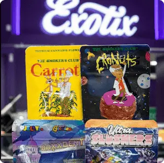 Exotix dispensary interior